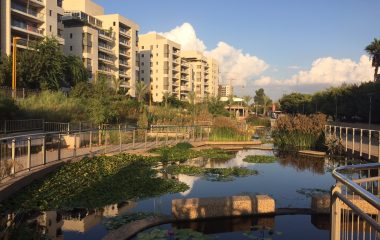 Ayala Water & Ecology