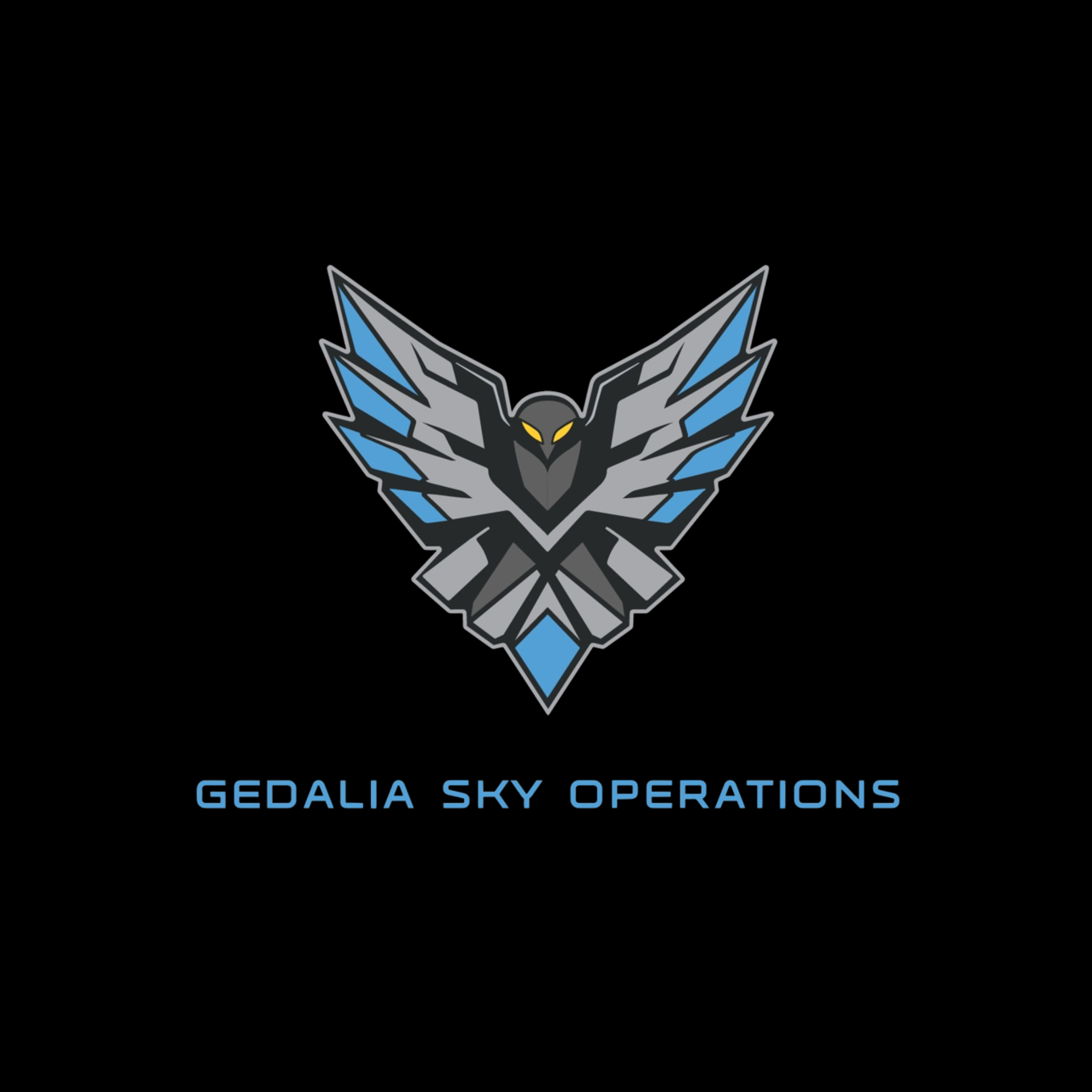 Gedalia Sky Operations LTD - GSO סמל