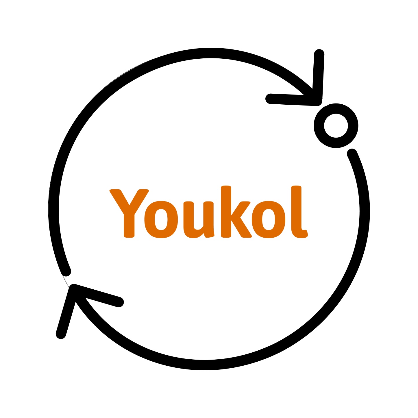 Youkol Systems Ltd סמל